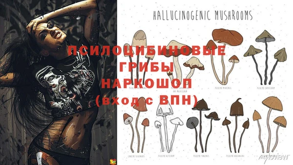 таблы Бородино