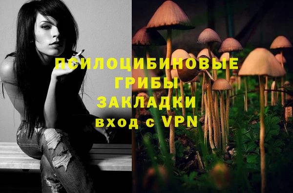 таблы Бородино