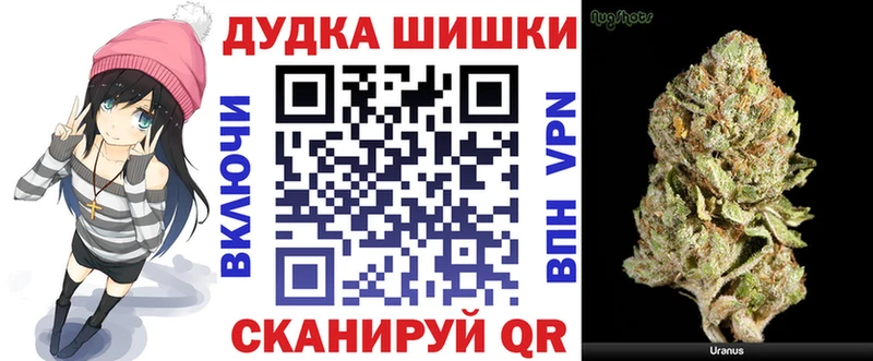 Конопля план  Купить закладки  Светлоград 